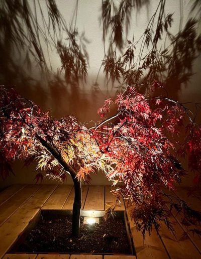 P96 Kathan Architektur